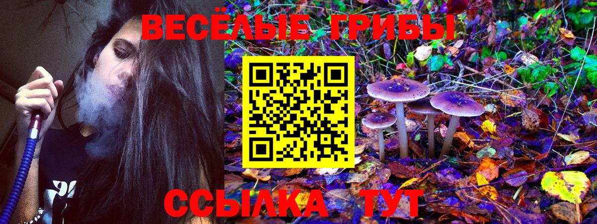 Галлюциногенные грибы прущие грибы Урус-Мартан