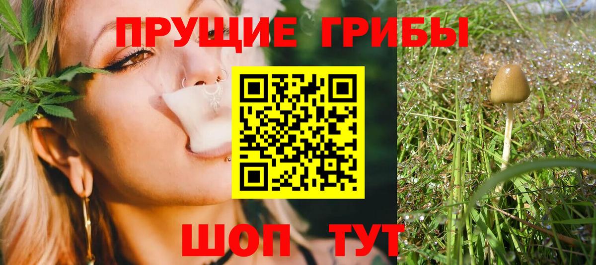 Псилоцибиновые грибы MAGIC MUSHROOMS  Вход с VPN  Урус-Мартан 